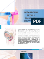 Desarrollo Embrionario, Fetal y Embarazo