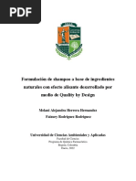 Proyecto Final Trabajo de Grado Investigacion