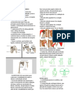 Aula 6 - ASPECTOS CLÍNICOS DO OMBRO