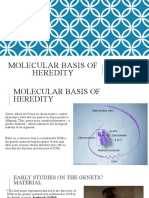 Molecular Basis of Heredity: Prepared by Imelda A. Ygan