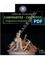 Libro Caminantes Chispitas Comp