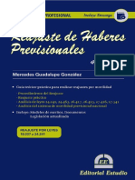 Guia Practica Profesional