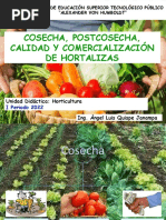 Diapositiva - Pre Cosecha, Cosecha, Postcosecha y Comercialización Hortalizas