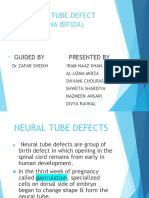 Neural Tube Defect (Spina Bifida) : Guided by Presented by