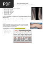 Clase 7 FX de Antebrazo - Radio Distal