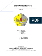 Laporan Praktikum Biologi Kacang Hijau XII Mipa 2 (Kel 2)