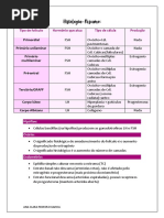 Histologia Concepção