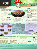 Infografías Reino Fungi