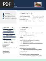 Curriculum Vitae JOSE BARRIOS