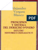 MINERIA Principios Sistema Estudio