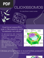 Glioxissomos 2