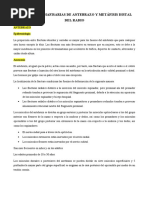 Fracturas Diafisarias de Antebrazo y Metáfisis Distal Del Radio