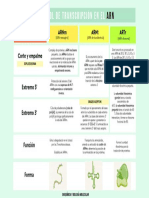 Bioquímica, Control y Regulacion de La Transcripción en El ARN (Cuadro Comparativo)