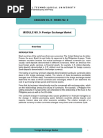 Chapter 9 - Foreign Exchange Market