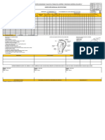 Formato Inspección Mensual de Extintores