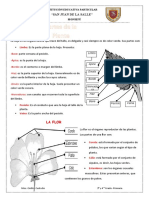 Partes de La Planta II