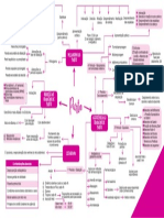 Mapa Mental Parto 2