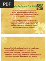 Herbal Medicine For Pets