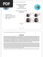 Mapa Conceptual de Mesodermo Paraxial e Intermedio - Embrio General