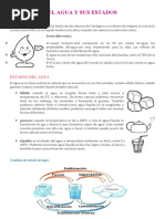 El Agua y Sus Estados - Ariana
