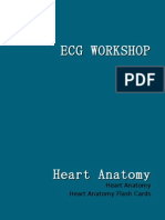 Ecg Workshop