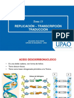 Sesión 13 - Replicación-Transcripción y Traducción