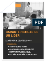 Liderazgo Profesional-Grupo Compañerismo