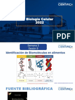 Biología Celular-Identificación de Biomoléculas en Alimentos-3-16