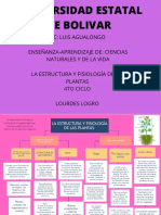 Cartel Esquema Idea Principal y Secundaria Organizado Amarillo