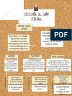 Mapa Conceptual - Etiología Del Daño Cerebral.