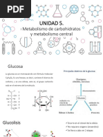 Unidad 5-7