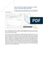 Informe Incendios en El Delta Del Paraná