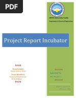 Incubator Report