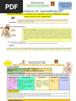 Explicamos Las Enfermedades Respiratorias