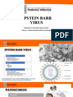 Epstein Barr Virus