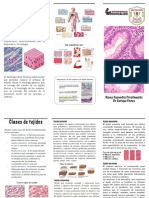 Histologia