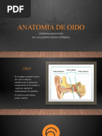 Anatomia de Oido