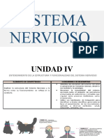 Estructura y Funcionalidad Del Sistema Nervioso