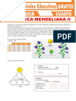 Practica 4to Sesión 3