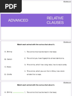 Advanced Relative Clauses