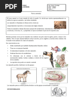 5to. Animales