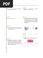 Actividad 1