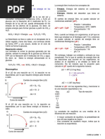 2º Parcial Bioquímica