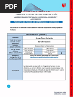 Formato para El Examen Parcial