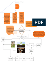 Diagrama de Flujo Ciclo Biogeoquimico Del Nitrogeno