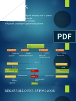 Sistema Digestivo II