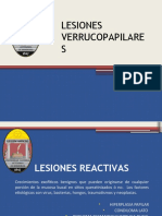 1 Lesiones Verrucopapilares