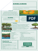 Manglares Componentes Bióticos y Abióticos
