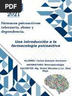 Trabajo Práctico Neuropsicología - Grupo 2