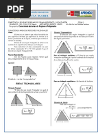 Áreas de Regiones Triangulares para Quinto de Secundaria